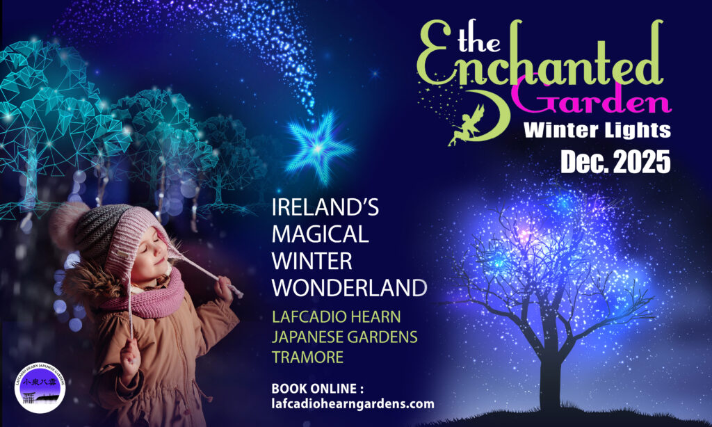 Winter Lights Tramore